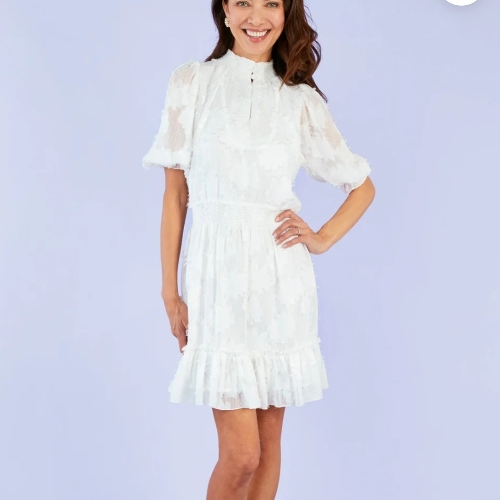 Abbey Glass Bennett Dress White Sunflower Burnout Chiffon Luxury Size XS